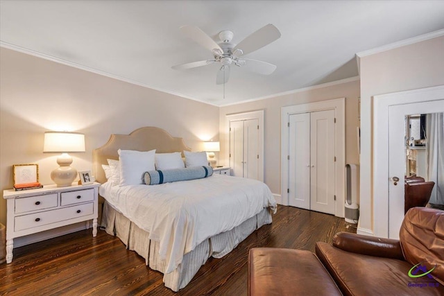 bedroom with dark wood-type flooring, ceiling fan, multiple closets, and crown molding