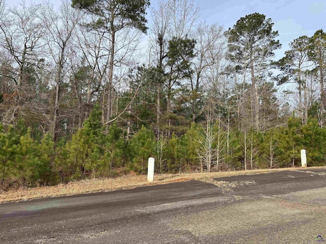 Listing photo 3 for LOT3 Trick Run, Forsyth GA 31029