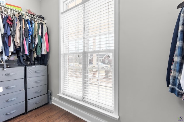 spacious closet featuring dark hardwood / wood-style floors