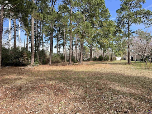 Ann, Cochran GA, 31014 land for sale