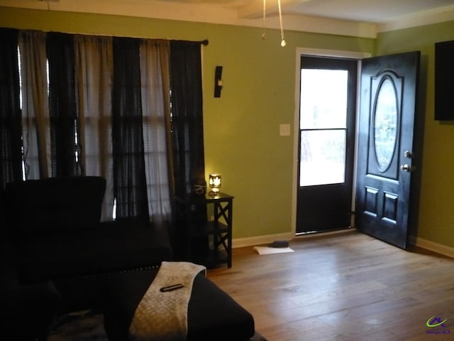 entrance foyer with baseboards and wood finished floors