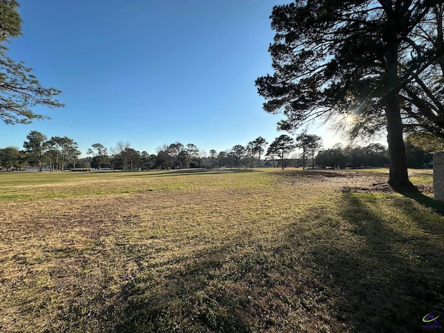 view of yard featuring a rural view