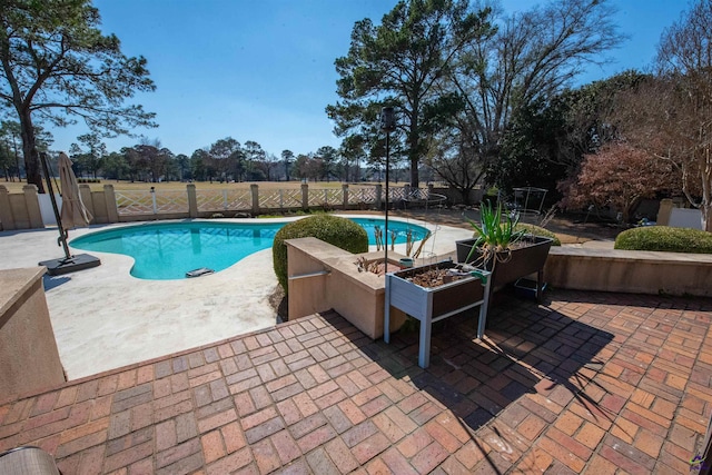 view of pool featuring a patio area, a fenced backyard, and a fenced in pool