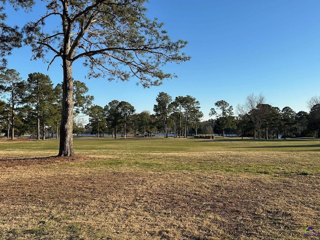 surrounding community featuring a yard