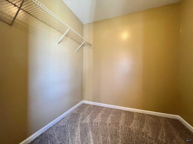 spacious closet featuring carpet flooring