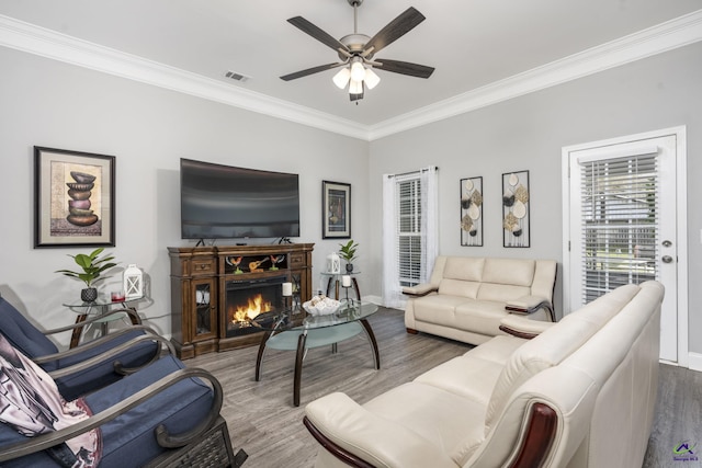 living area featuring crown molding, visible vents, ceiling fan, wood finished floors, and a lit fireplace