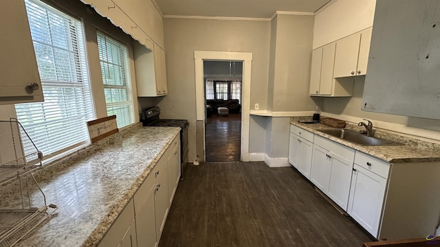 kitchen with a sink, white cabinets, black electric range, dark wood finished floors, and crown molding