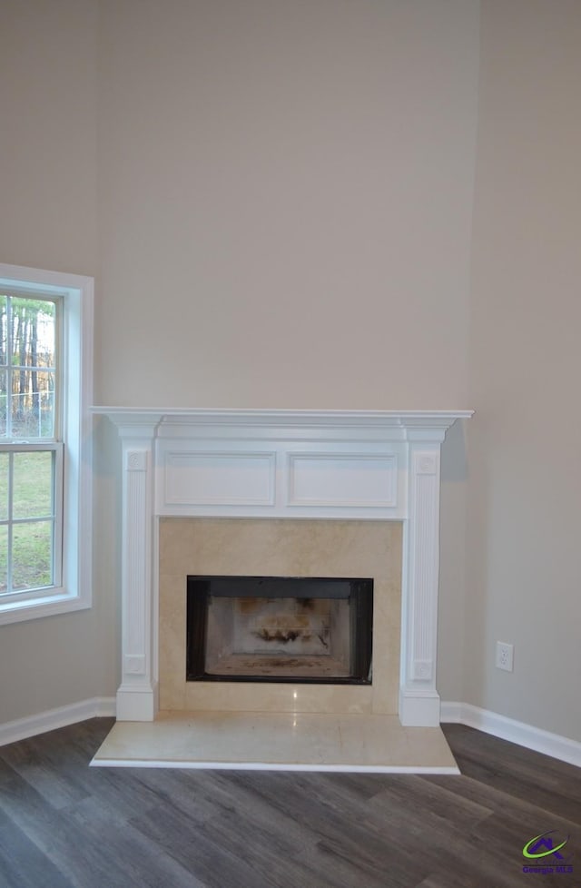 details featuring wood finished floors, a high end fireplace, and baseboards