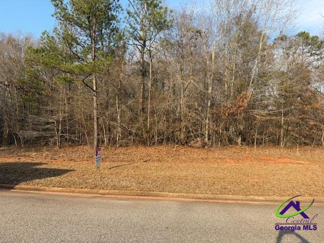 LOT8 Mystic Cir, Byron GA, 31008 land for sale