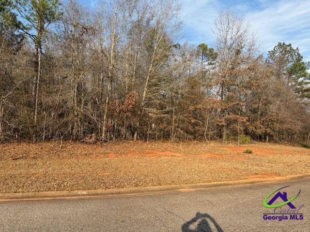 Listing photo 2 for LOT8 Mystic Cir, Byron GA 31008