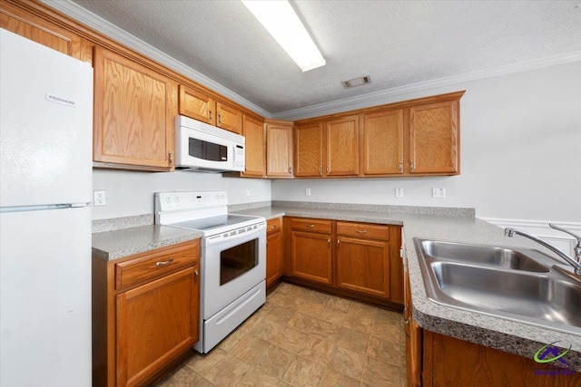 kitchen featuring crown molding, brown cabinetry, a sink, a textured ceiling, and white appliances