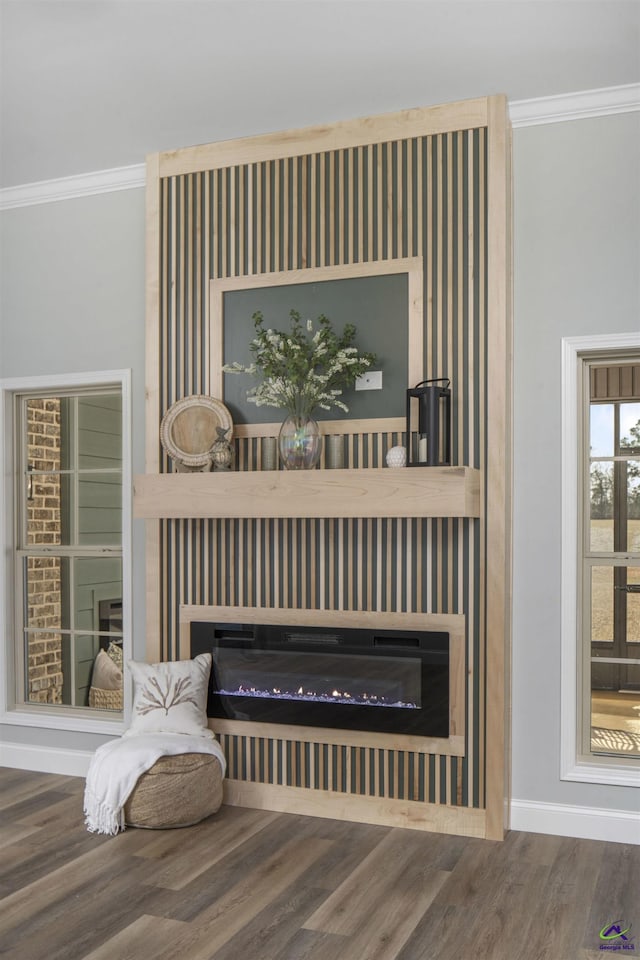 room details with a glass covered fireplace, crown molding, baseboards, and wood finished floors