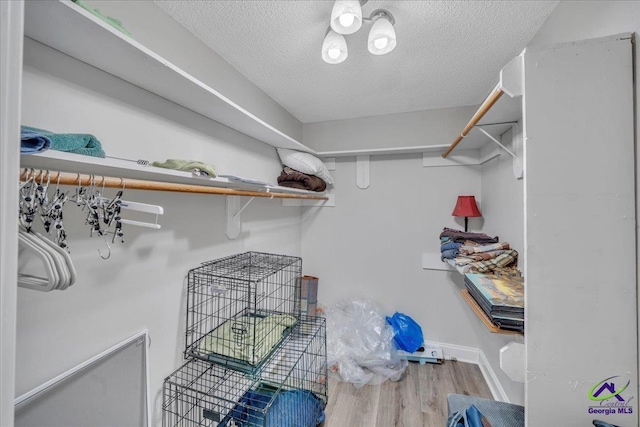 walk in closet with wood finished floors