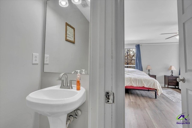 bathroom with a sink and wood finished floors