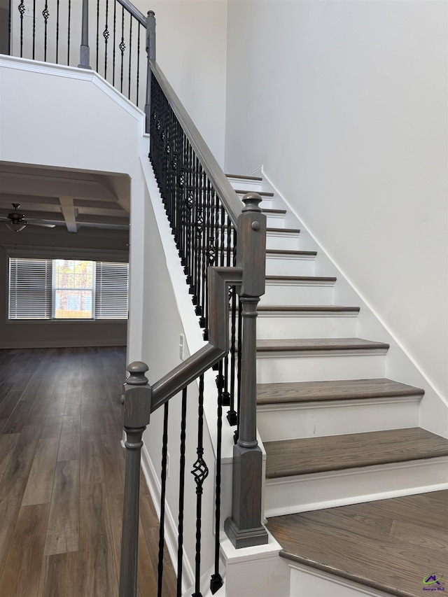 stairs with ceiling fan, a high ceiling, and hardwood / wood-style floors