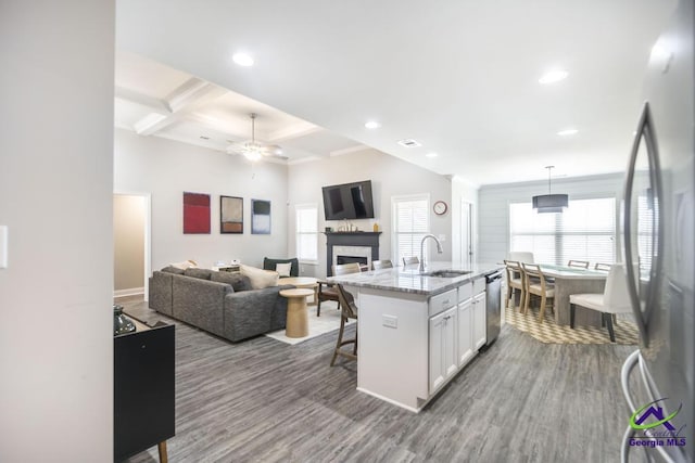 kitchen with white cabinets, a fireplace, stainless steel appliances, and wood finished floors