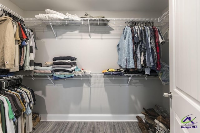 walk in closet with wood finished floors