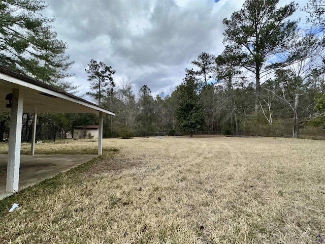 view of yard featuring a carport and a patio area