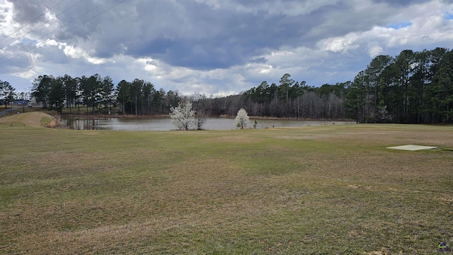 view of yard with a water view