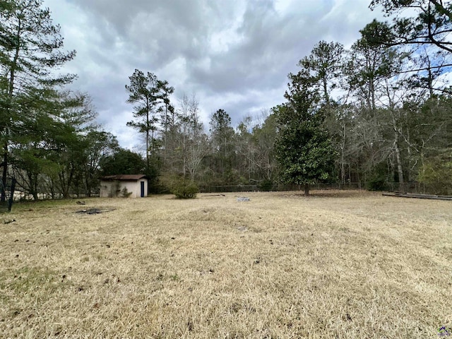 view of yard with a storage shed and an outdoor structure