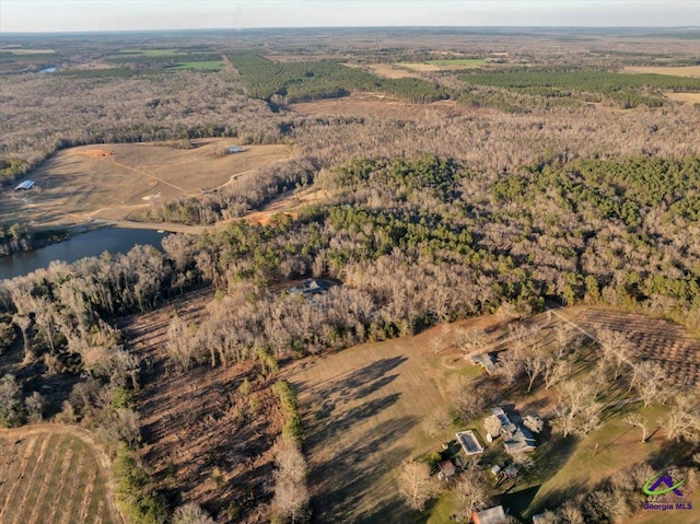 bird's eye view with a water view and a wooded view