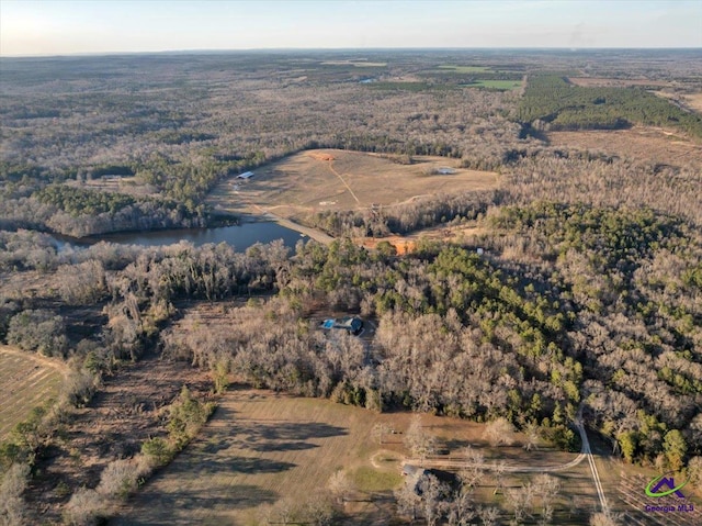 bird's eye view featuring a water view and a forest view