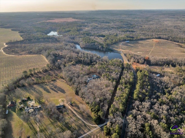 birds eye view of property with a water view and a forest view