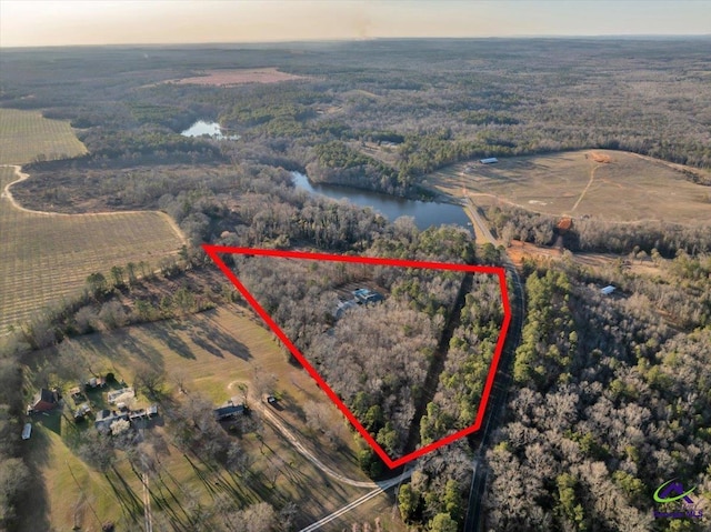 aerial view with a water view, a wooded view, and a rural view