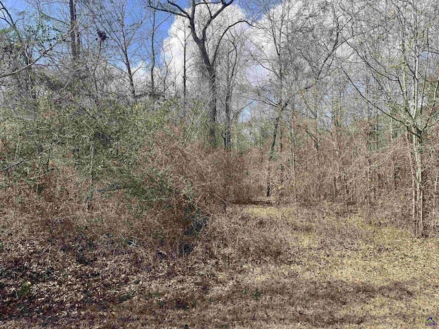 LOT25 Foxwood Dr, Byron GA, 31008 land for sale