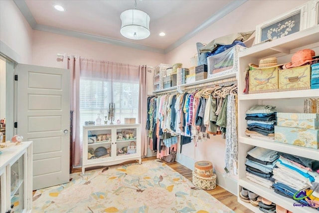 spacious closet featuring wood finished floors