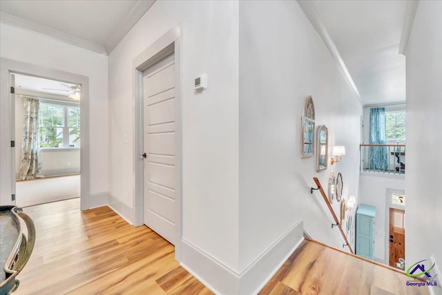 corridor featuring plenty of natural light, light wood-type flooring, an upstairs landing, and crown molding