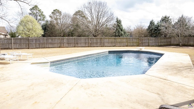 view of pool featuring a fenced in pool, a patio area, and a fenced backyard