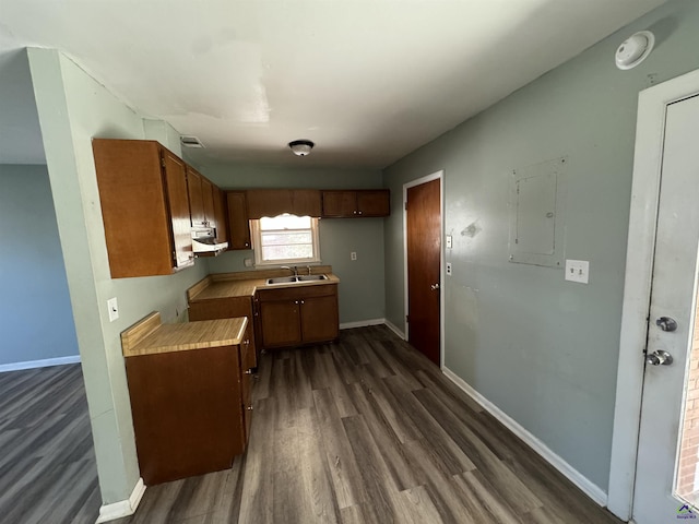 kitchen featuring dark wood-type flooring, a sink, under cabinet range hood, and baseboards