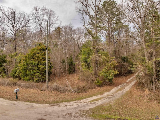 view of road with a view of trees