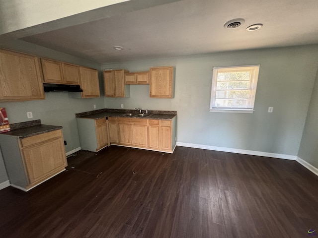 kitchen featuring dark countertops, baseboards, dark wood-style flooring, and a sink