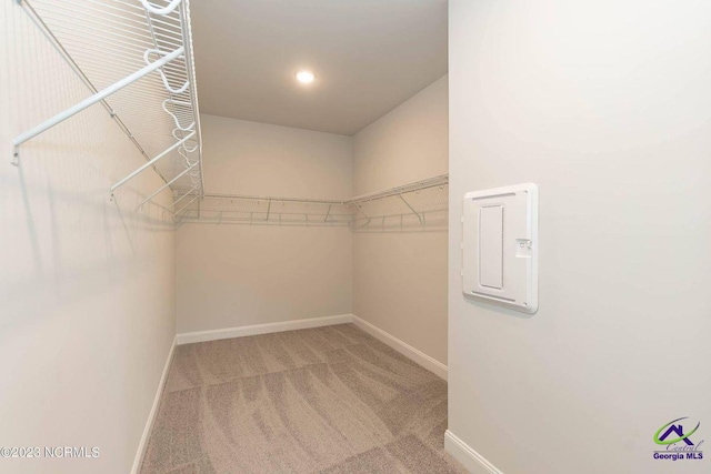 walk in closet featuring carpet floors