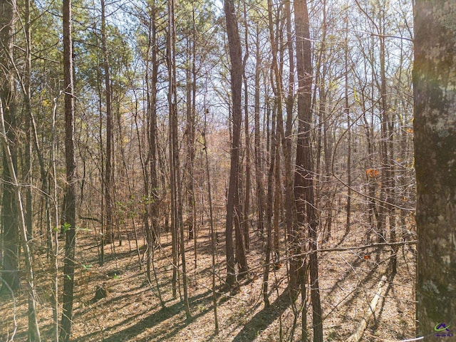 view of local wilderness