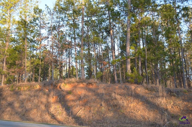 LOTA-1 Pate Rd, Forsyth GA, 31029 land for sale