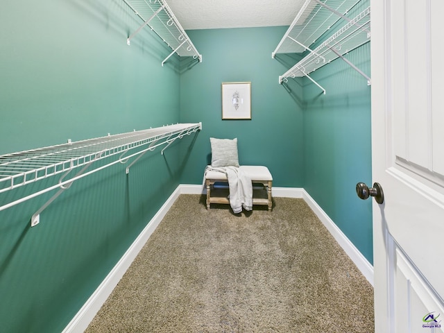 spacious closet featuring carpet floors