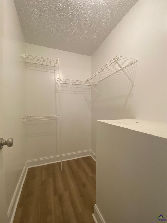 walk in closet featuring wood finished floors