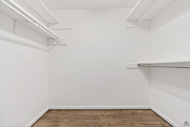 walk in closet featuring wood finished floors