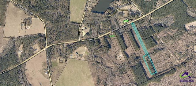 Snellbridge Rd, Dublin, GA 31027