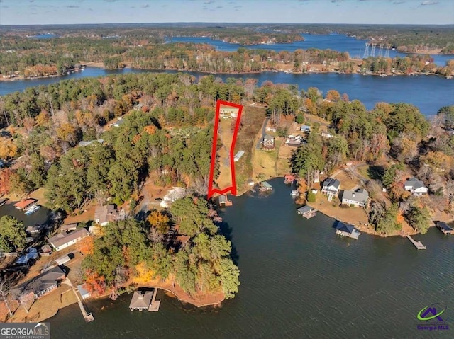 aerial view with a view of trees and a water view