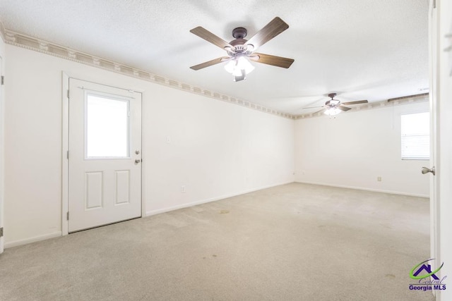 empty room with a textured ceiling, baseboards, a wealth of natural light, and light carpet