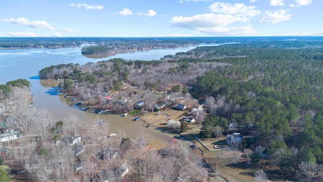 bird's eye view with a forest view and a water view