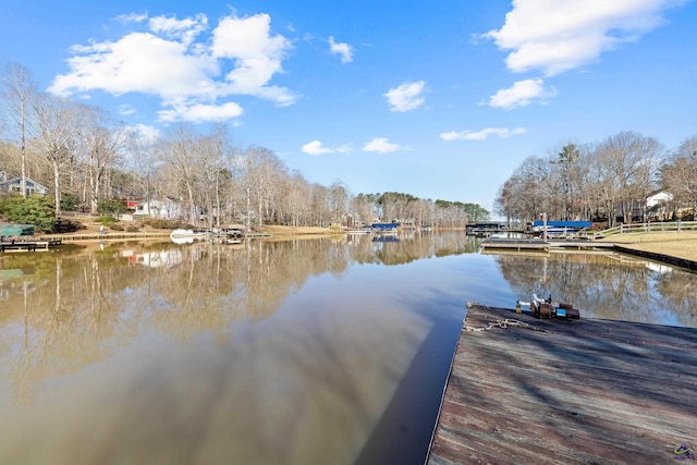 dock area with a water view