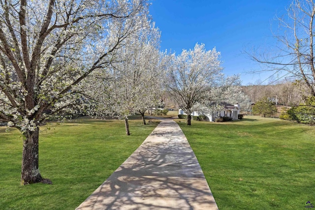 surrounding community featuring a yard