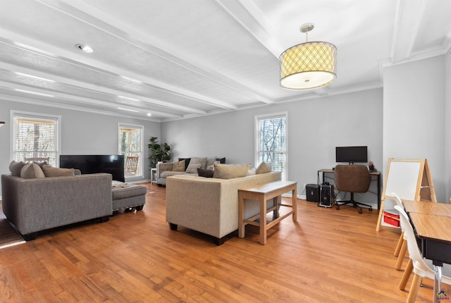 living room featuring beam ceiling, light wood-style floors, and ornamental molding