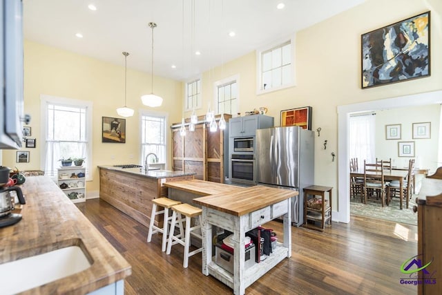 kitchen featuring dark wood finished floors, pendant lighting, butcher block countertops, and stainless steel appliances