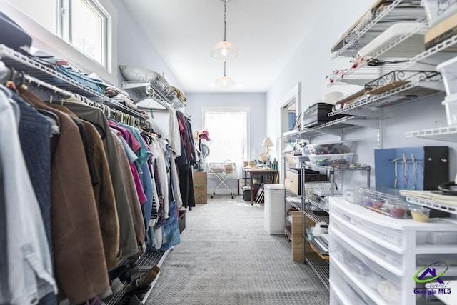 walk in closet featuring lofted ceiling and carpet floors